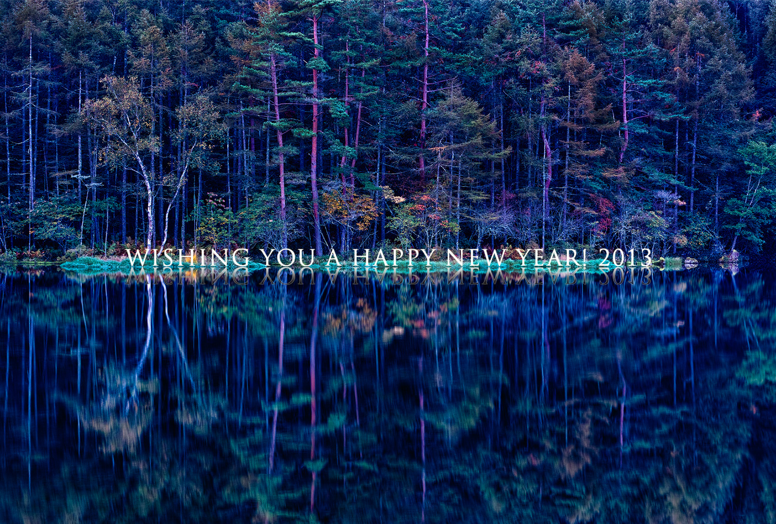WISHING YOU A HAPPY NEW YEAR! 2013